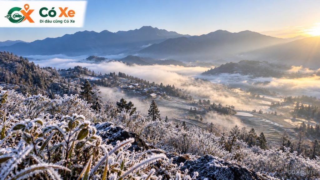 Sương muối phủ trắng cây cỏ và thung lũng Sapa buổi sáng mùa đông